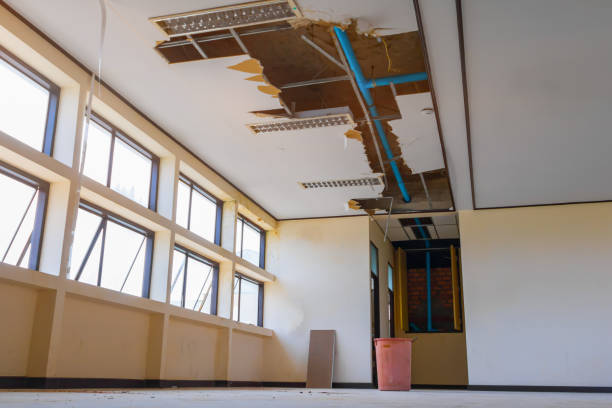 Best Professional water damage repair  in Jennings, LA