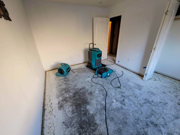 Carpet water damage restoration in Jennings, LA