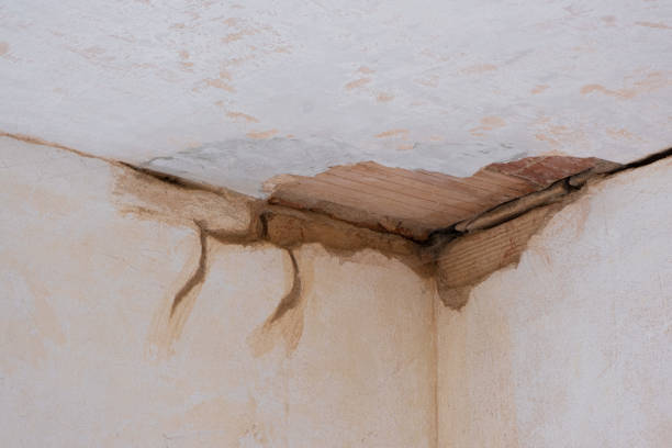 Best Ceiling water damage repair  in Jennings, LA