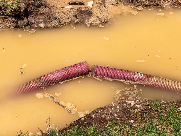 Professional Water damage restoration in Jennings, LA